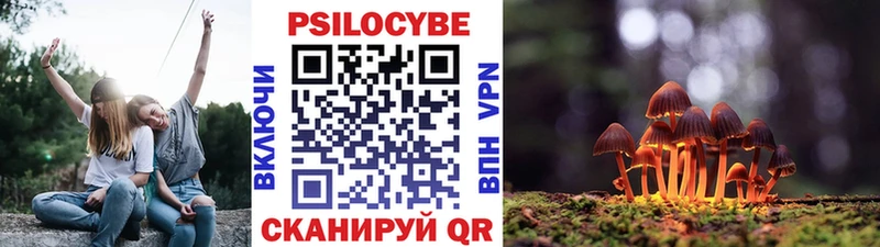 Галлюциногенные грибы MAGIC MUSHROOMS  Ильский 